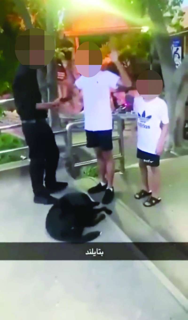 
من المقطع المتداول 