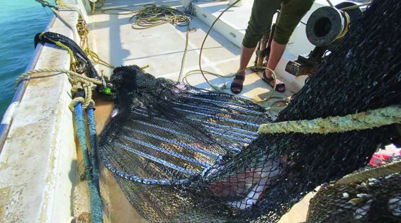 نجاح تجربة تقليل جهد الصيد بعد تركيب اتحاد الصيادين للشباك الصديقة للبيئة في العام 2021 