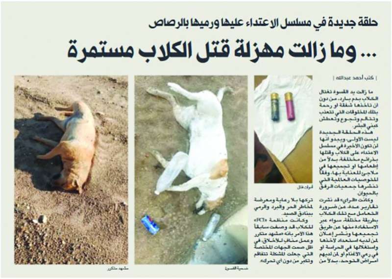 خبر «الراي» المنشور في 13 مارس 2023 