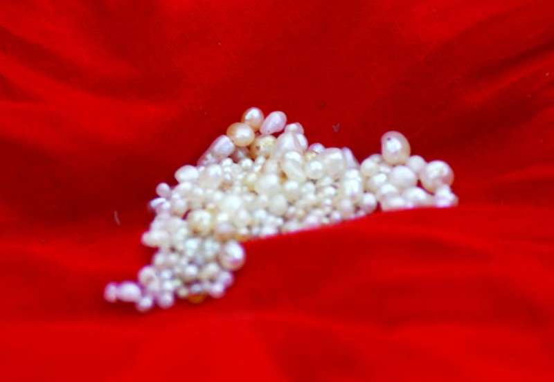 لآلئ... حصيلة اليوم الرابع