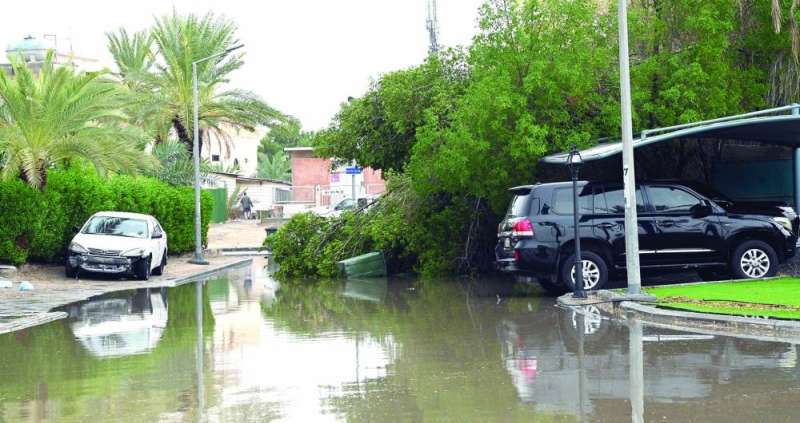 
... كأننا في فصل الشتاء
