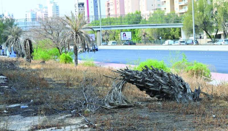 
(تصوير أسعد عبدالله)
