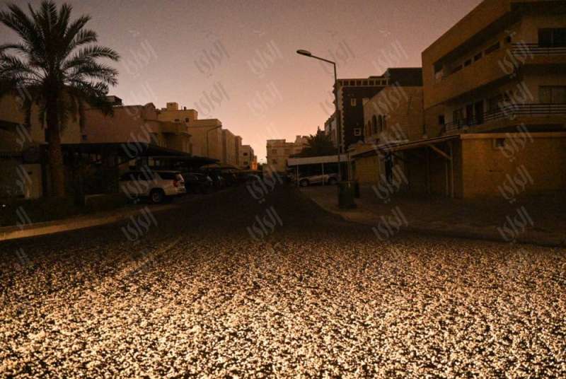 تصوير| نايف العقلة