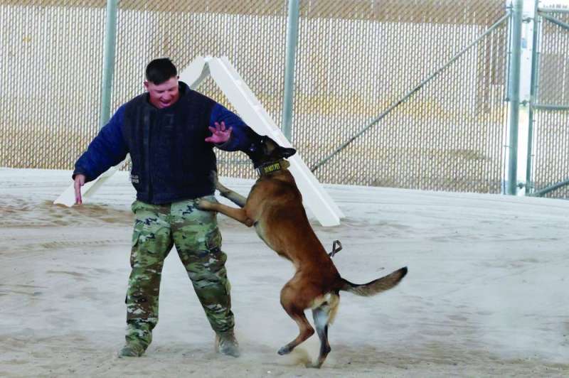 عرض تدريب الكلاب في قاعدة علي السالم