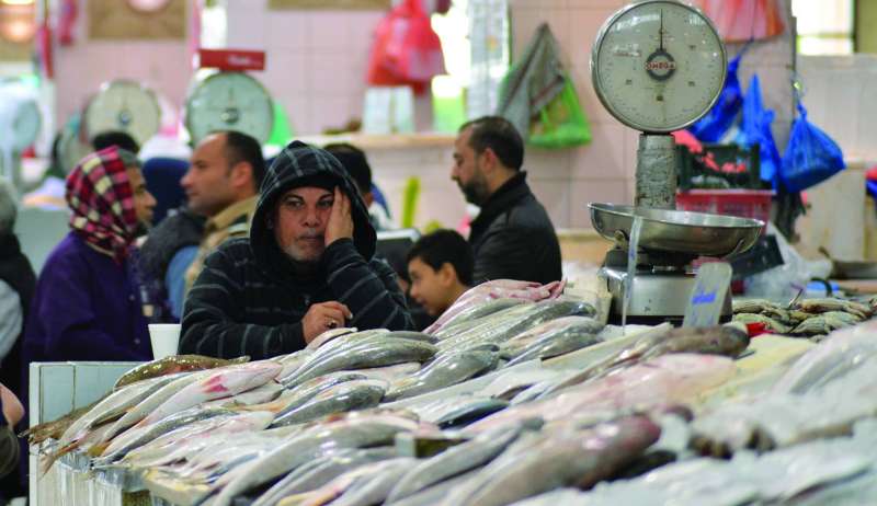 أشهر أنواع الأسماك في الكويت... تتناقص أعدادها