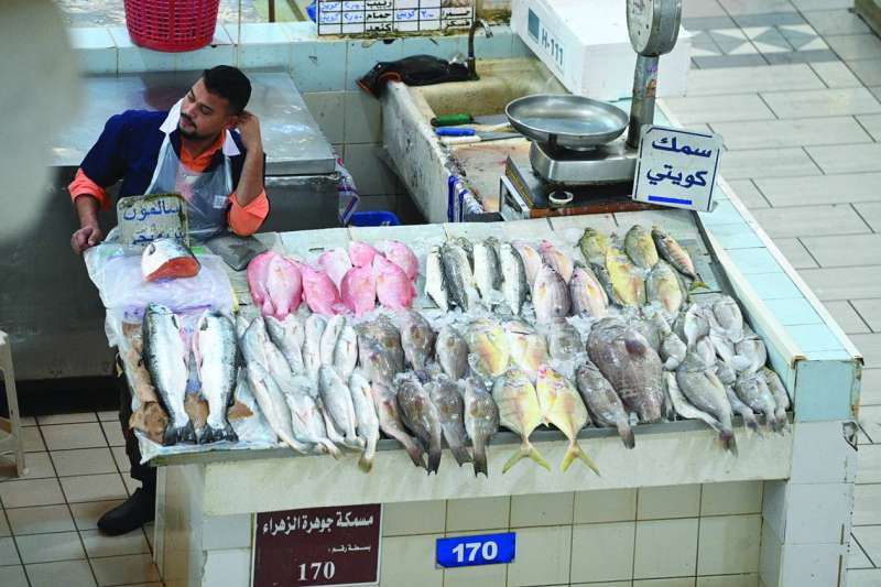 أشهر أنواع الأسماك في الكويت... تتناقص أعدادها