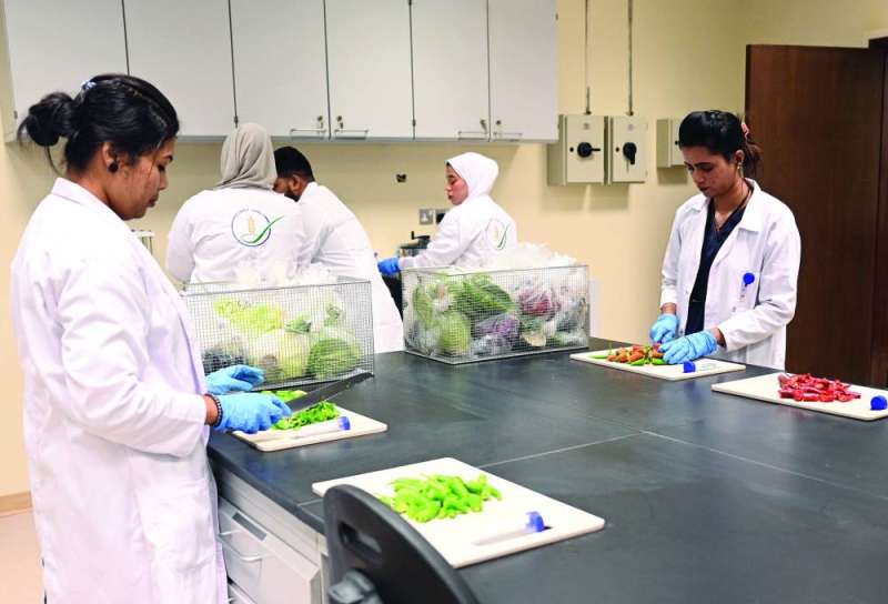  جانب من فحص الخضراوات 