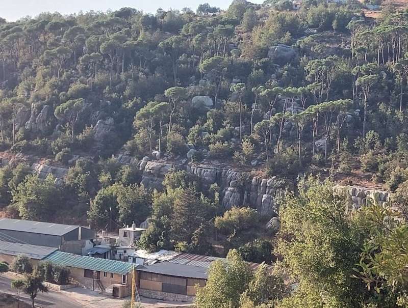 هنا.. صخرة طانيوس