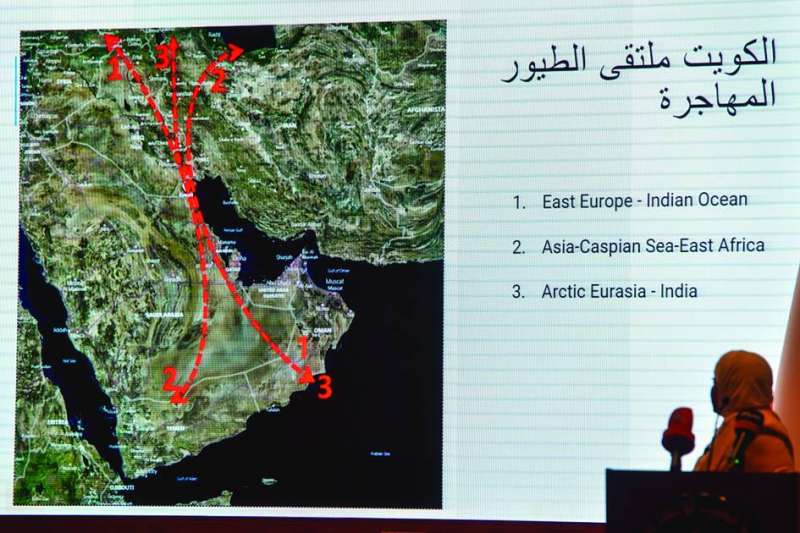 العرض عن مسار الطيور 