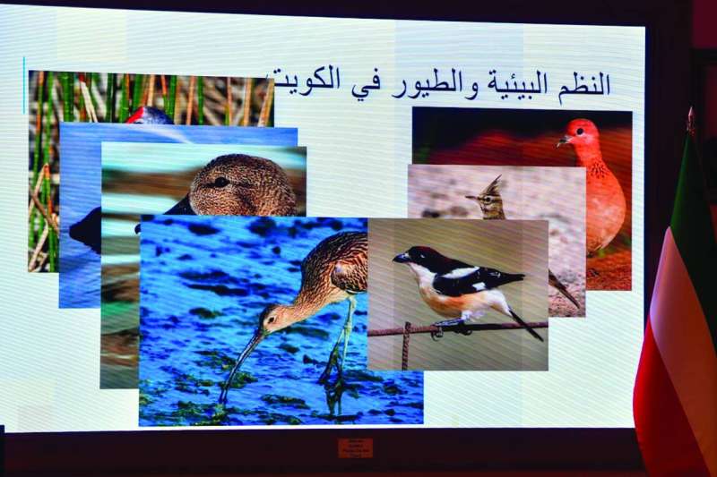 جانب من عرض الدراسة 