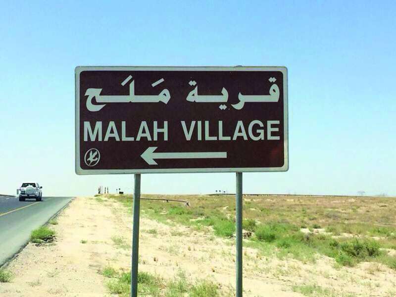 


قرية مَلَح التي اشتهرت بالزراعة البعلية 