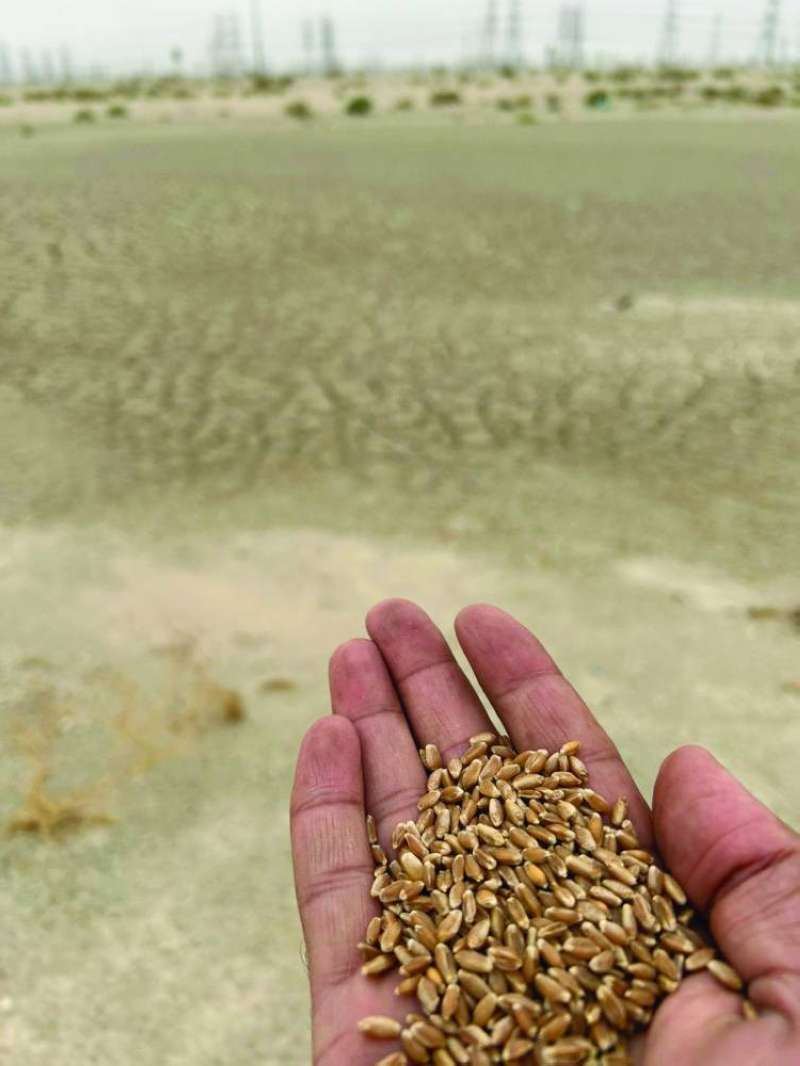 


الحيان يهم بتدشين مبادرة الزراعة البعلية 