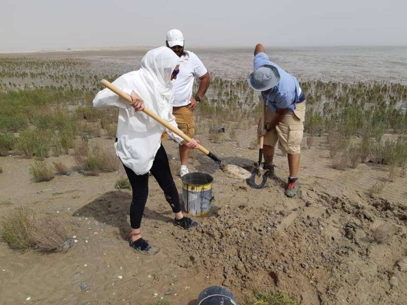 الزيدان في صورة أرشيفية يقوم في وقت سابق باستزراع نبات المانغروف في الكويت  