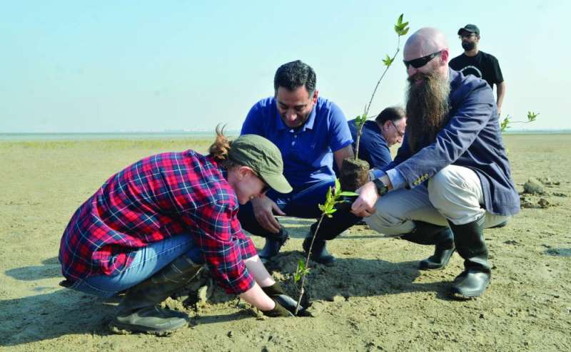 القائم بالأعمال الأميركي جيم هولتسنايدر يشارك السفيرة البريطانية بليندا لويس زراعة المانغروف 