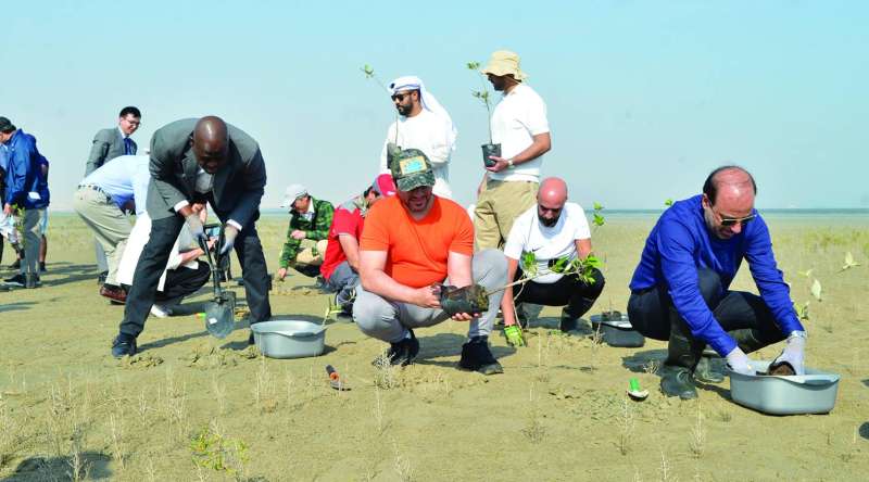 ديبلوماسيون يزرعون المانغروف 