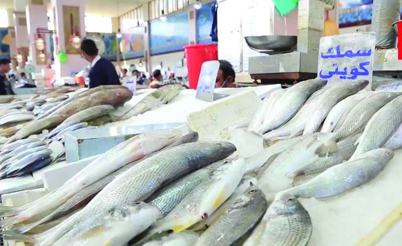 شح في المعروض من السمك المحلي 