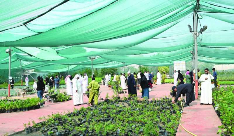 


مهتمون بالزراعة والبستنة في مشاتل العمرية	 (تصوير نايف العقلة) 