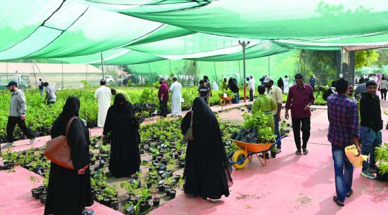 


إقبال خاص من السيدات 