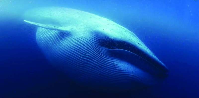 


لقطة من الفيلم 