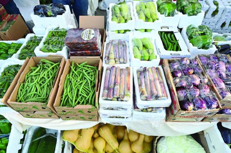 جانب من المعروضات 