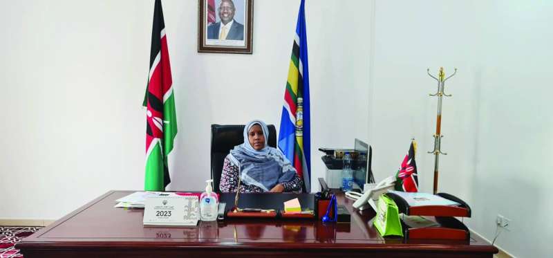 السفيرة حليمة محمود 