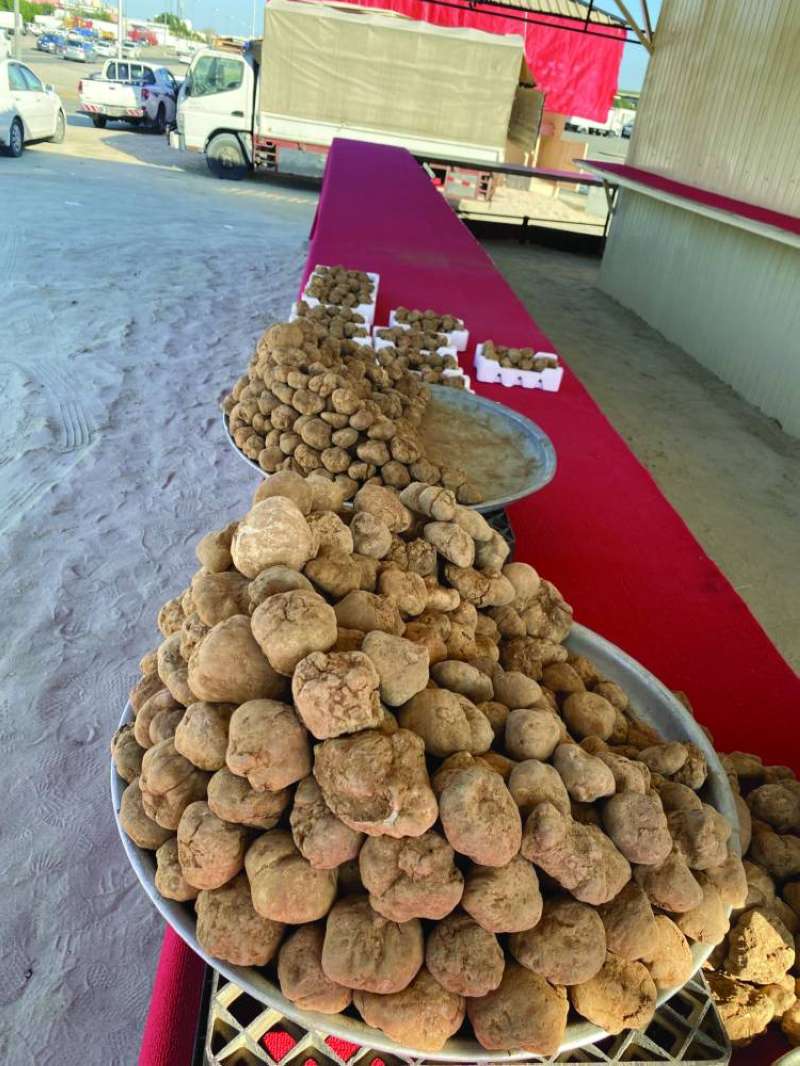 بواكير الفقع وصلت للسوق 