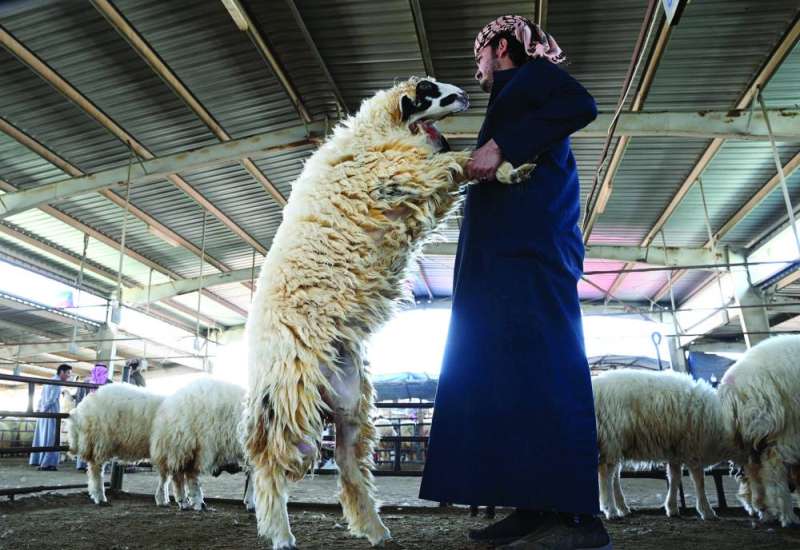 


سعر النعيمي وصل إلى 180 ديناراً	 (تصوير نايف العقلة) 