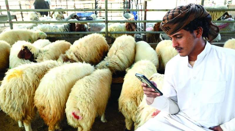 


بائع انشغل بهاتفه في غياب المشترين 