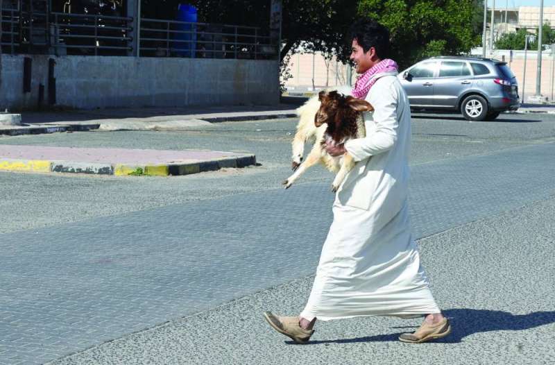 


خروف وجد من يشتريه 
