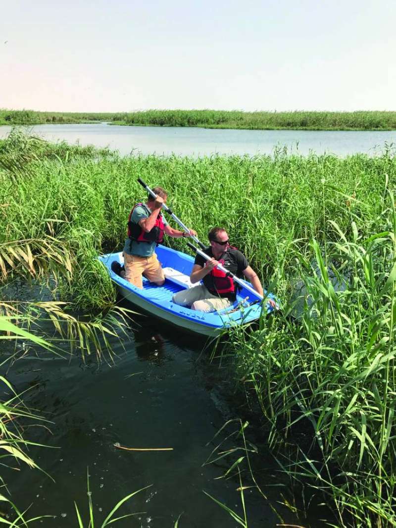 رحلة البحث عن كائنات جديدة 