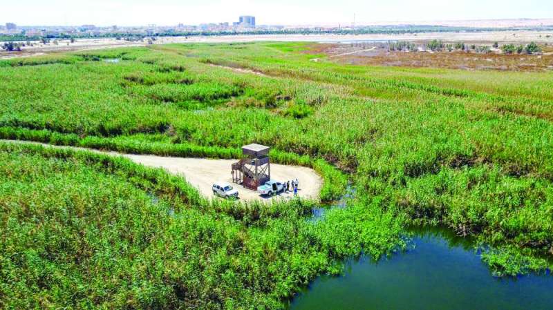 


محمية الجهراء تنتظر فتح أبوابها أمام الجمهور 