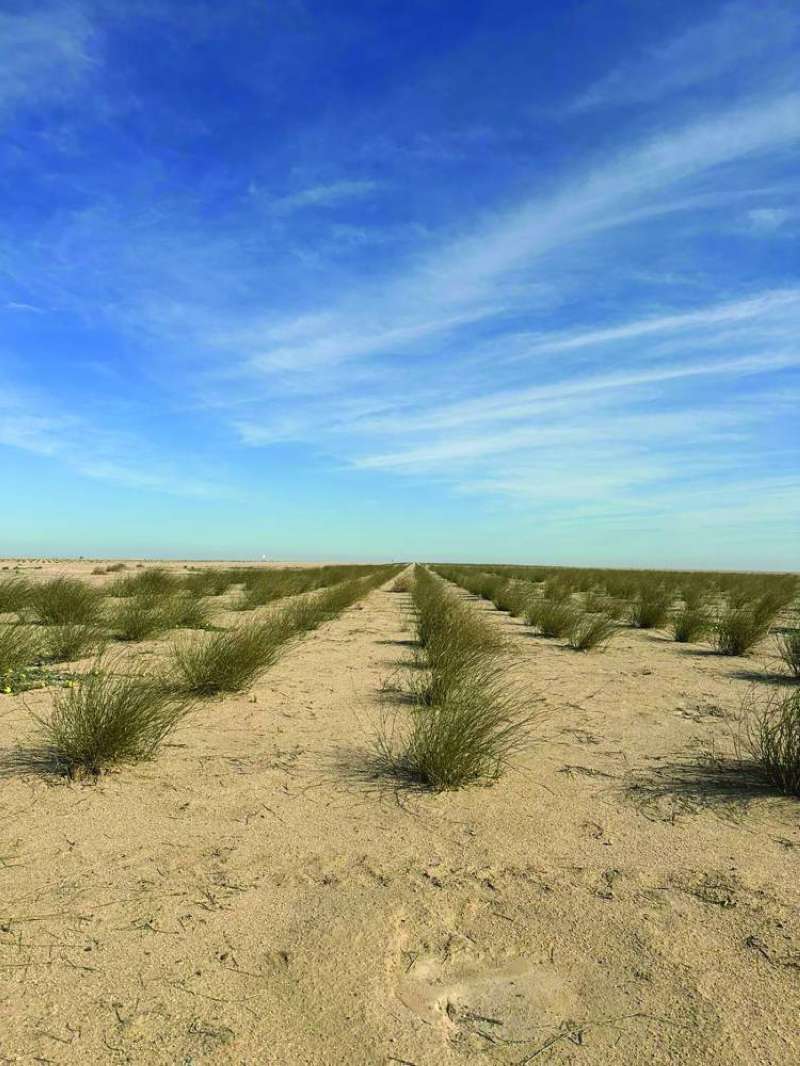 إحدى المحميات