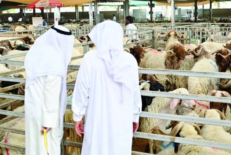 


الموردون استعرضوا مع وزير «التجارة» التحديات وتعهدوا بزيادة التدفقات 