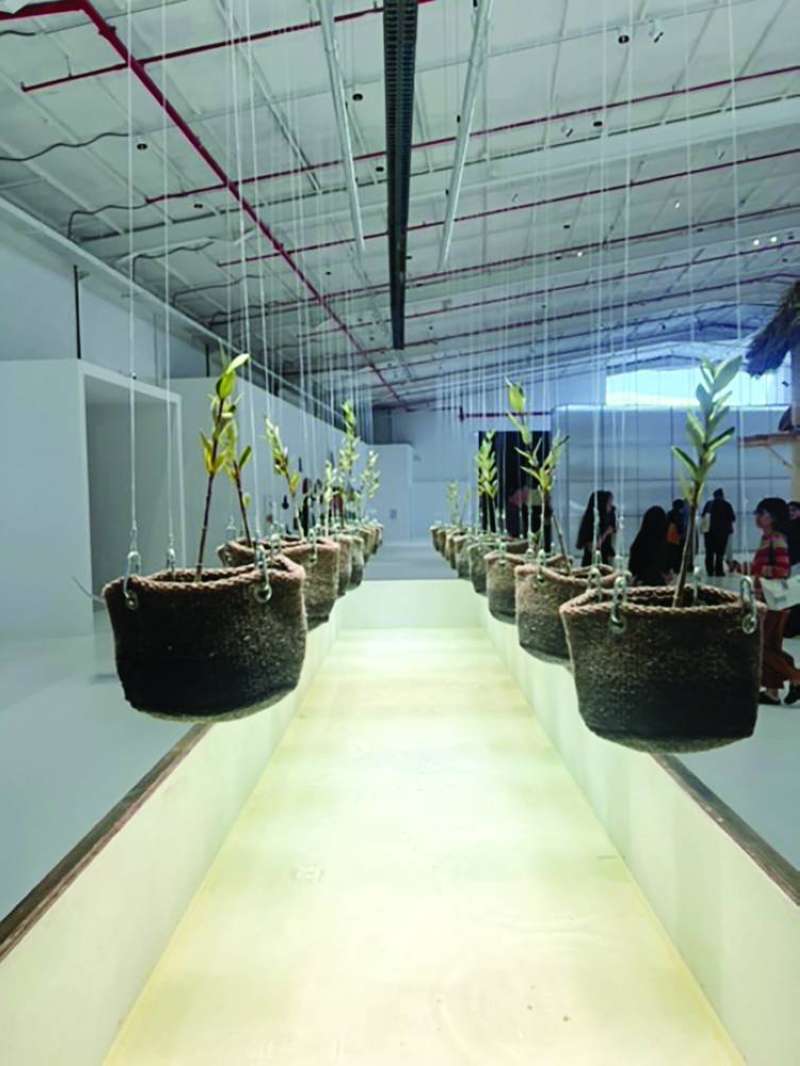 


زراعات إبداعية في أحد الأجنحة 