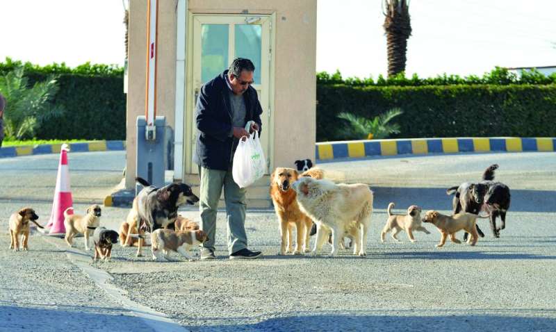 


الكلاب ترحّب بصديقها قبل أن يطعمها 