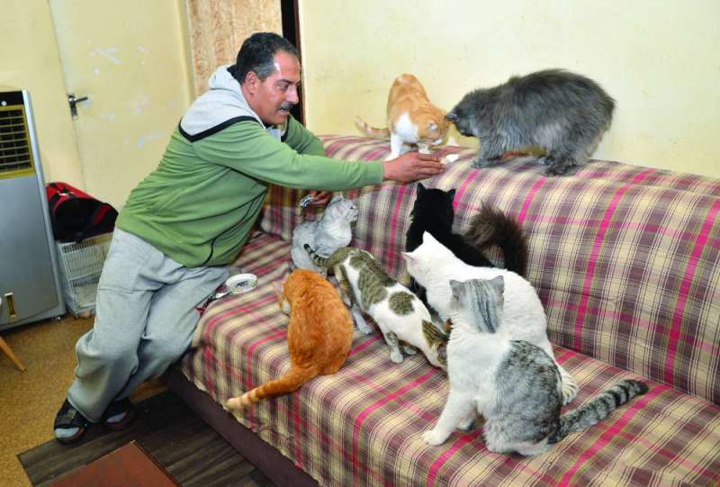 20 عاماً جمعت بين الدسوقي وقططه