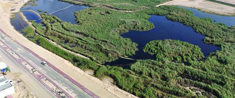 أمطار متجمعة دون وجود منفذ على البحر 