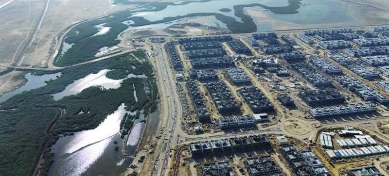 المستنقعات تنذر بتلوث بيئي 