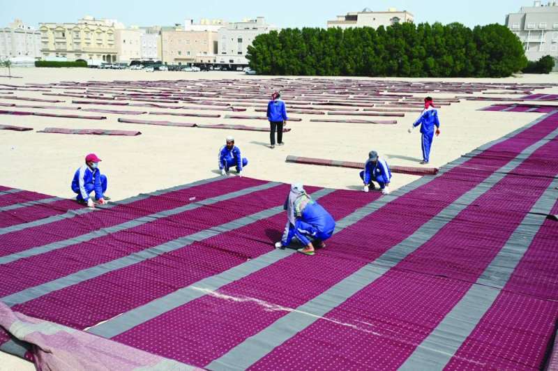 


تجهيز ساحات صلاة العيد	(تصوير نايف العقلة) 