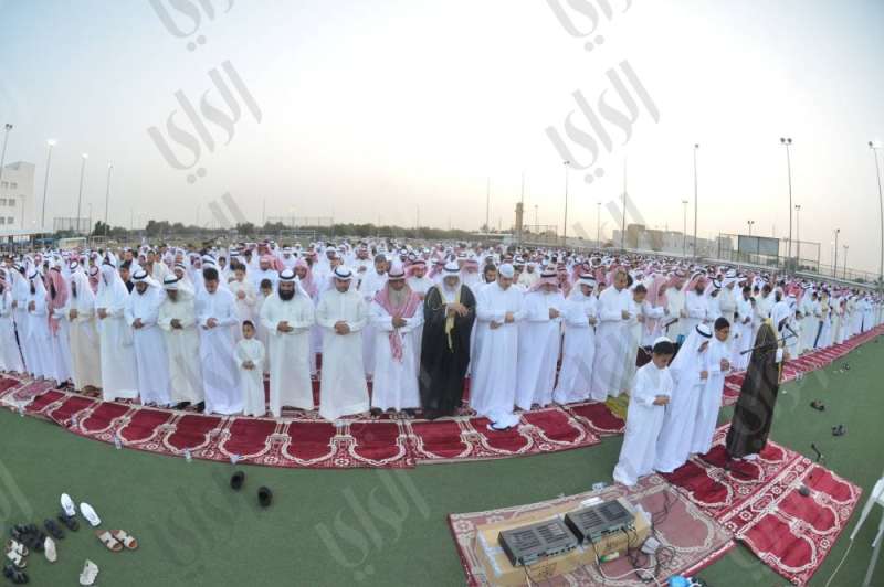 (تصوير: أسعد عبدالله)