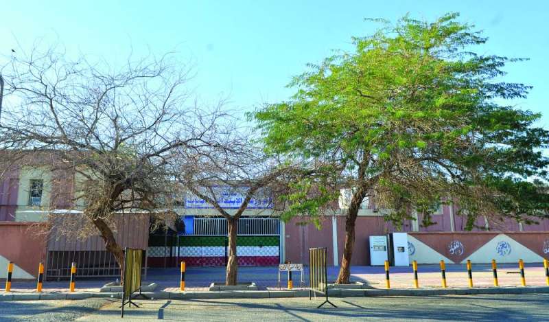 أشجار صفصاف أمام إحدى المدارس 