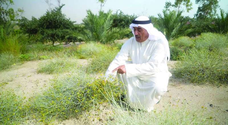 


الرومي يشرف بنفسه على الزراعة 