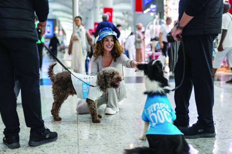 مسافرة تداعب كلبين علاجيين