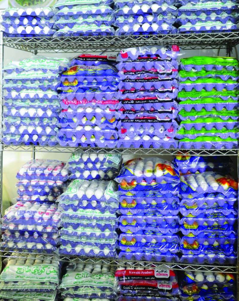 


البيض... اكتفاء ذاتي 