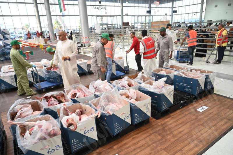 تصوير: أسعد عبدالله