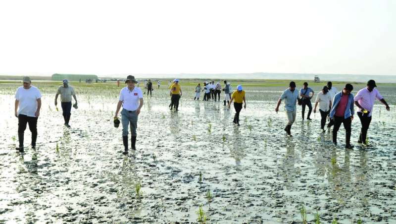 استعداد للزراعة 	 (تصوير سعود سالم )