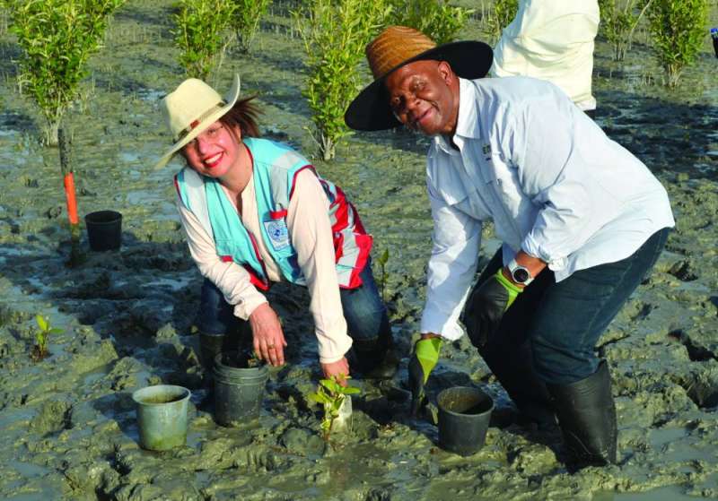 
أميرة الحسن تزرع المانغروف 