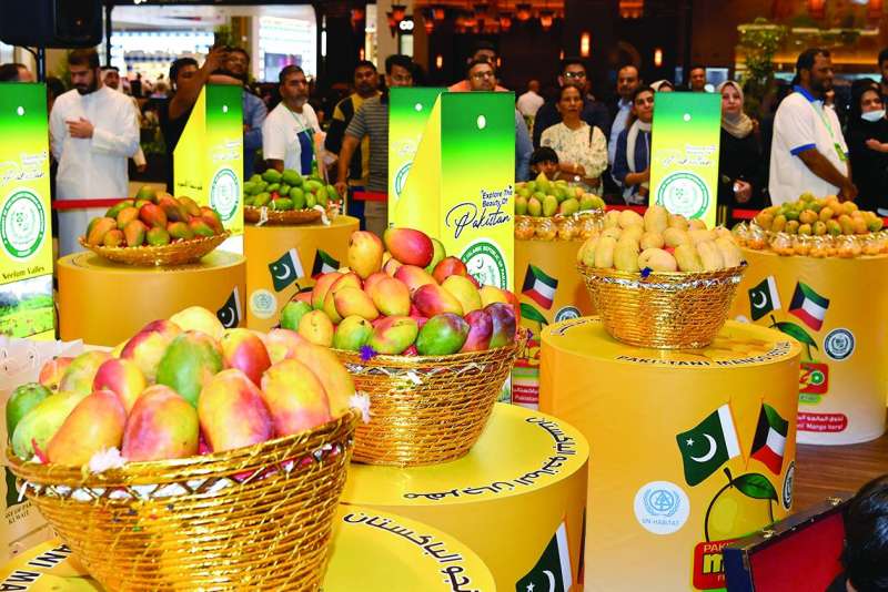 


أنواع من المانجو 