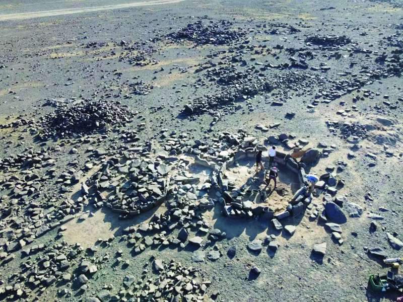 الفريق الأسترالي عمل لخمس سنوات للخروج بهذه الدراسة