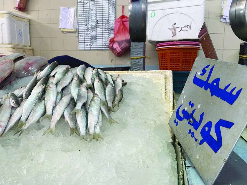 كميات قليلة جداً من الميد في موسم صيده 	 (تصوير سعود سالم)